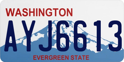 WA license plate AYJ6613