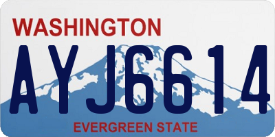 WA license plate AYJ6614