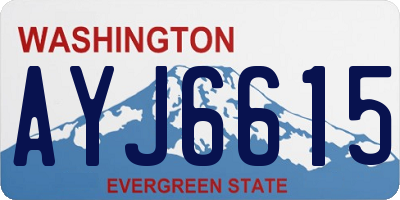 WA license plate AYJ6615