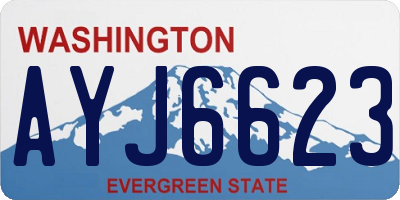 WA license plate AYJ6623