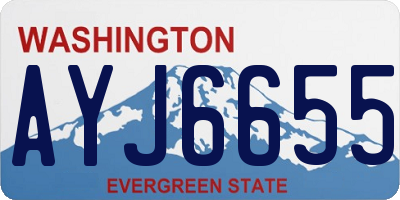WA license plate AYJ6655