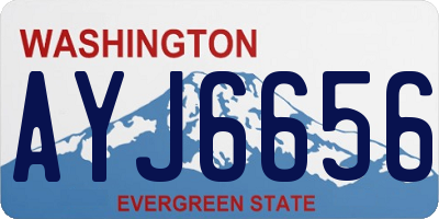 WA license plate AYJ6656