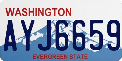 WA license plate AYJ6659