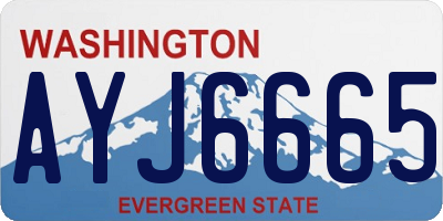 WA license plate AYJ6665
