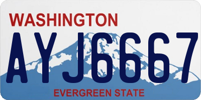 WA license plate AYJ6667