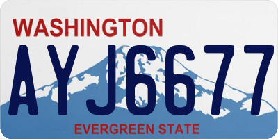WA license plate AYJ6677