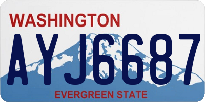 WA license plate AYJ6687