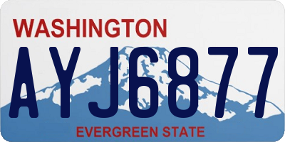 WA license plate AYJ6877
