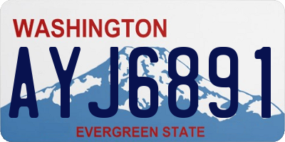 WA license plate AYJ6891