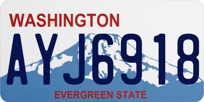 WA license plate AYJ6918