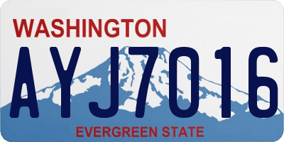 WA license plate AYJ7016