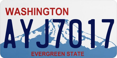 WA license plate AYJ7017