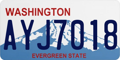 WA license plate AYJ7018