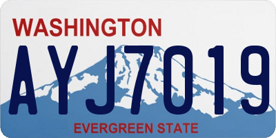 WA license plate AYJ7019