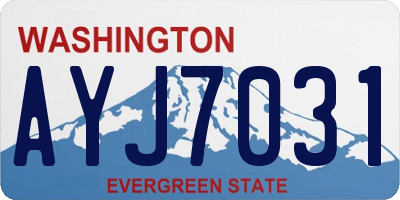 WA license plate AYJ7031
