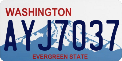 WA license plate AYJ7037