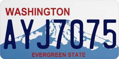 WA license plate AYJ7075