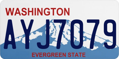 WA license plate AYJ7079