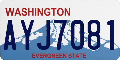 WA license plate AYJ7081