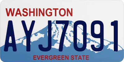 WA license plate AYJ7091