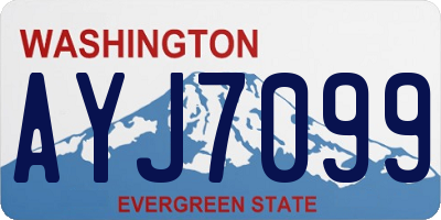 WA license plate AYJ7099