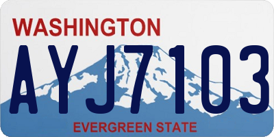 WA license plate AYJ7103