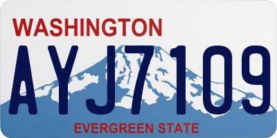 WA license plate AYJ7109
