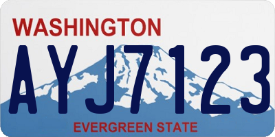 WA license plate AYJ7123