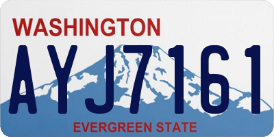 WA license plate AYJ7161