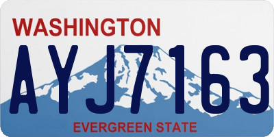 WA license plate AYJ7163