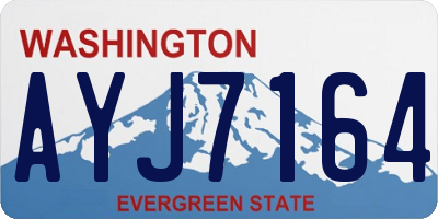 WA license plate AYJ7164