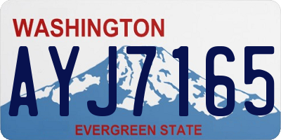 WA license plate AYJ7165