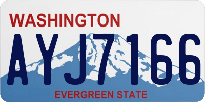 WA license plate AYJ7166