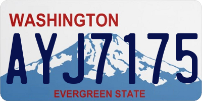 WA license plate AYJ7175