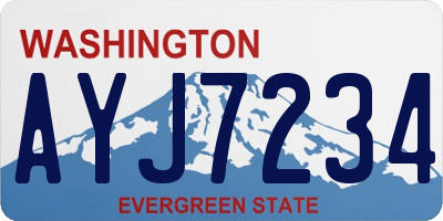 WA license plate AYJ7234