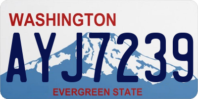 WA license plate AYJ7239