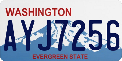 WA license plate AYJ7256