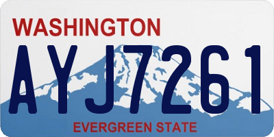 WA license plate AYJ7261