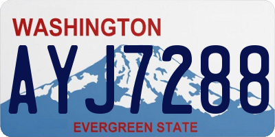 WA license plate AYJ7288