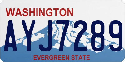WA license plate AYJ7289