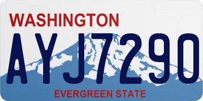 WA license plate AYJ7290
