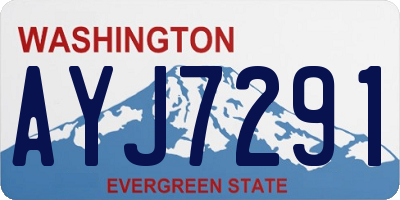 WA license plate AYJ7291