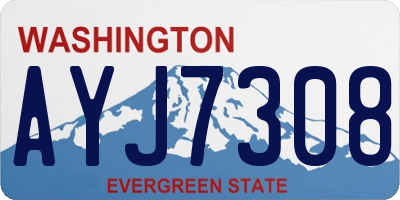 WA license plate AYJ7308