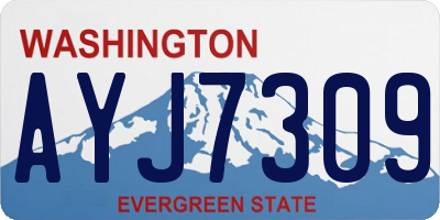 WA license plate AYJ7309