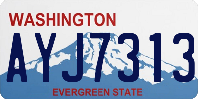 WA license plate AYJ7313