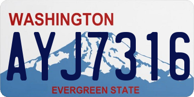 WA license plate AYJ7316