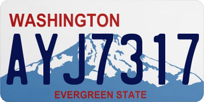 WA license plate AYJ7317