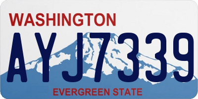 WA license plate AYJ7339