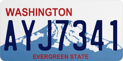 WA license plate AYJ7341