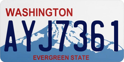 WA license plate AYJ7361